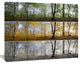 Three Seasons Forest Panorama, Large landscape Canvas Art Print, 60x40