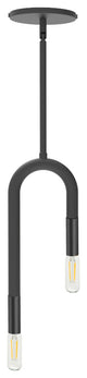 2-Light Matte Black Modern Pendant