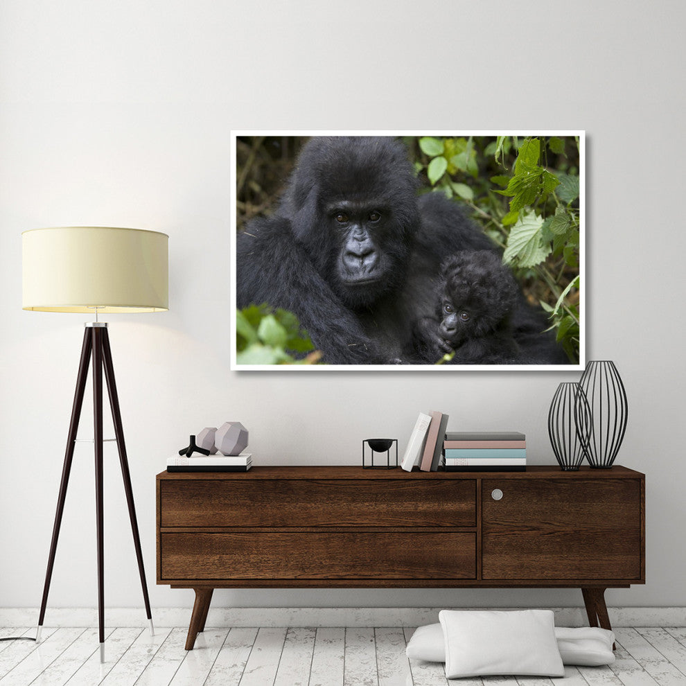 "Gorilla mother and infant, Parc National Des Volcans" Paper Art, 62"x42"
