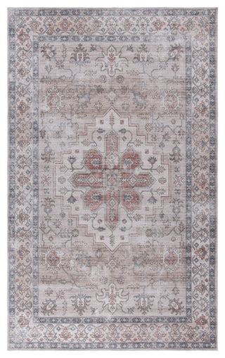 Safavieh Arizona Machine-Washable Collection ARZ243 Rug, Sage/Rust, 8'x10'