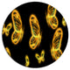 Fractal Butterflies On Dark Background, Flower Disc Metal Wall Art, 23"