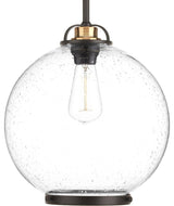 Progress Lighting P5309-20 Chronicle 1-Light Mini-Pendant, 8"x9", 12"x13