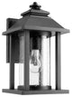 7271-69 Crusoe Transitional Light Outdoor, Noir