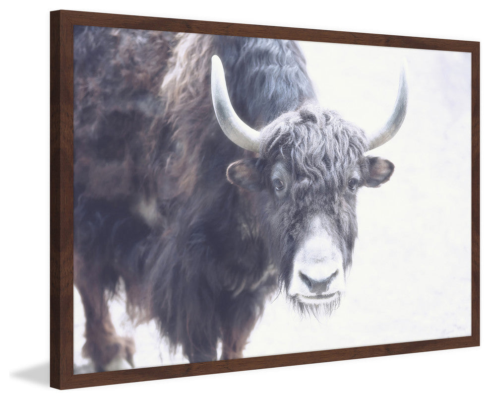 Marmont Hill, "Suspicious Gaze" Framed Painting Print, 18x12