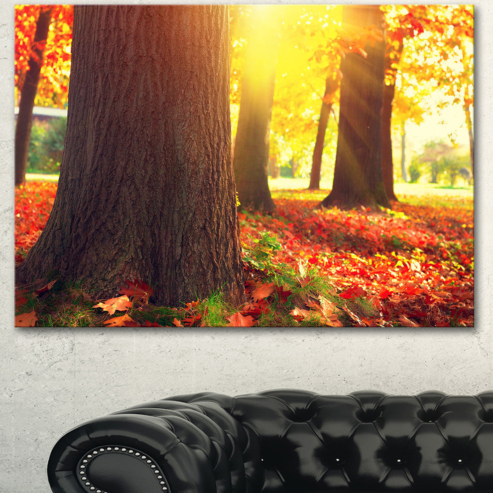 Autumn Trees in the Sunlight, Large Landscape Canvas Art, 40"x30"