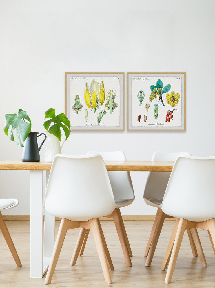 "Isn't Cute? Diptych" Framed Prints, 12"x12", 2-Piece Set