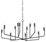 Norman 12 Light Chandelier, Forged Iron