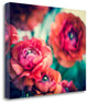 "Ranunculi" By Sonja Quintero,Ready to Hang Giclee Print on Gallery Wrap Canvas
