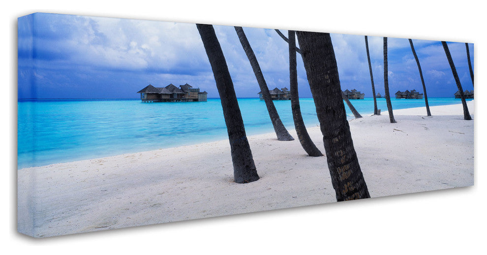 'Beach Palms-Maldives' Canvas Art by David Evans