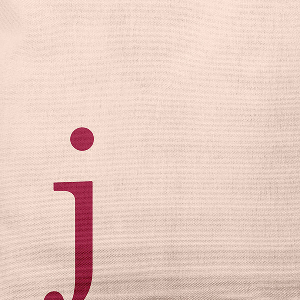 20" x 20" Modern Monogram Indoor/Outdoor Polyester Throw Pillow, Cranberry