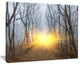 "Yellow Sun Rays in Misty Forest" Landscape Canvas Photo Print, 20"x12"