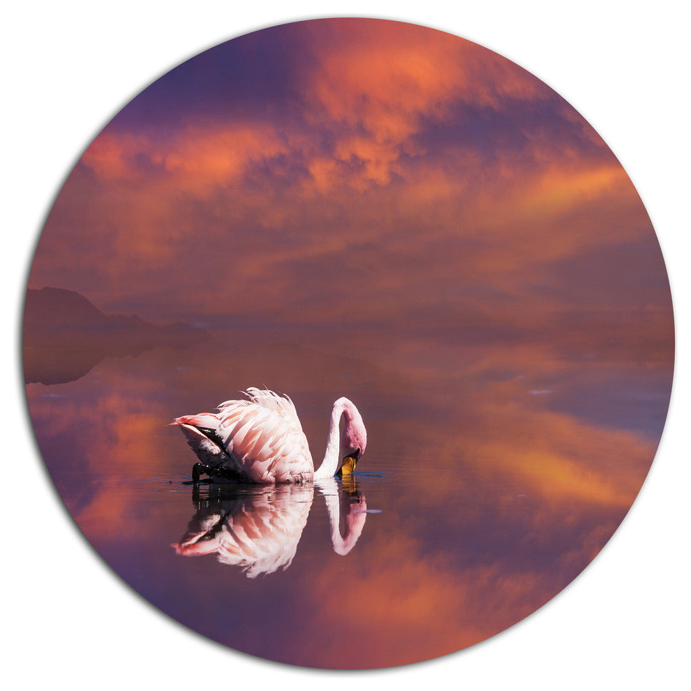 Huge White Flamingo In Lake, Animal Round Wall Art, 11"