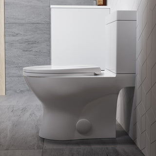 Cache Two Piece Elongated Toilet Dual Flush