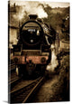 "Pulling Home" Wrapped Canvas Art Print, 24"x36"x1.5"