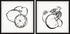 Healthy Twist Diptych, Set of 2, 24x24 Panels