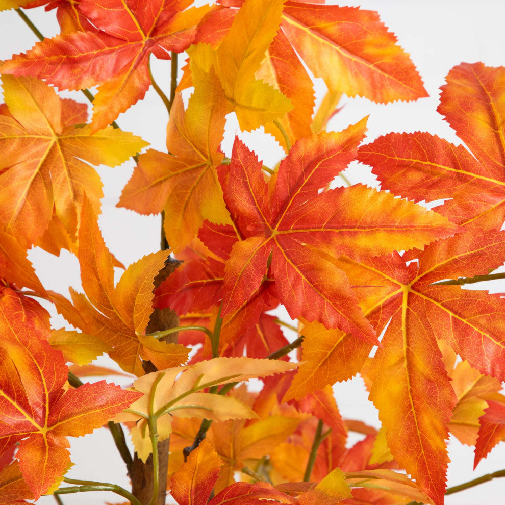 Close-up of orange leaves on a white background.