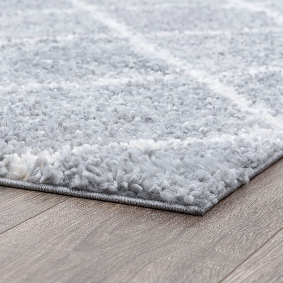 Derry Transitional Diamond White Rectangle Area Rug, 4'x5'