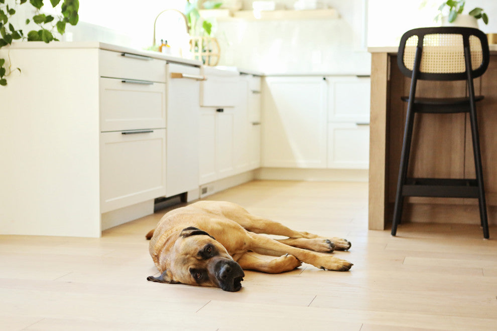 Austen Crisp White Fireclay 36" Double Bowl Farmhouse Undermount Kitchen Sink