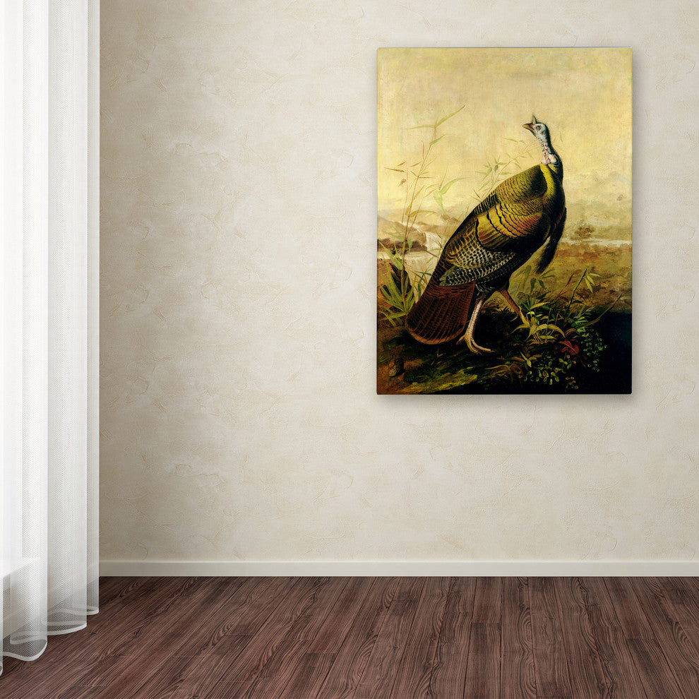 'American Wild Turkey' Canvas Art by John James Audubon