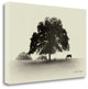 "Horses And Trees I" By Debra Van Swearingen, Giclee on Gallery Wrap Canvas