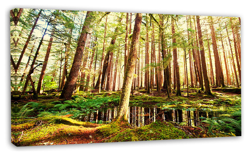 Dense Trees in Green Rain Forest, Oversized Landscape Canvas Art, 32"x16"