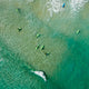 "Green Boards" Wrapped Canvas Print by Karolis Janulis