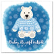 Cold Polar Bear 16x16 Canvas Wall Art