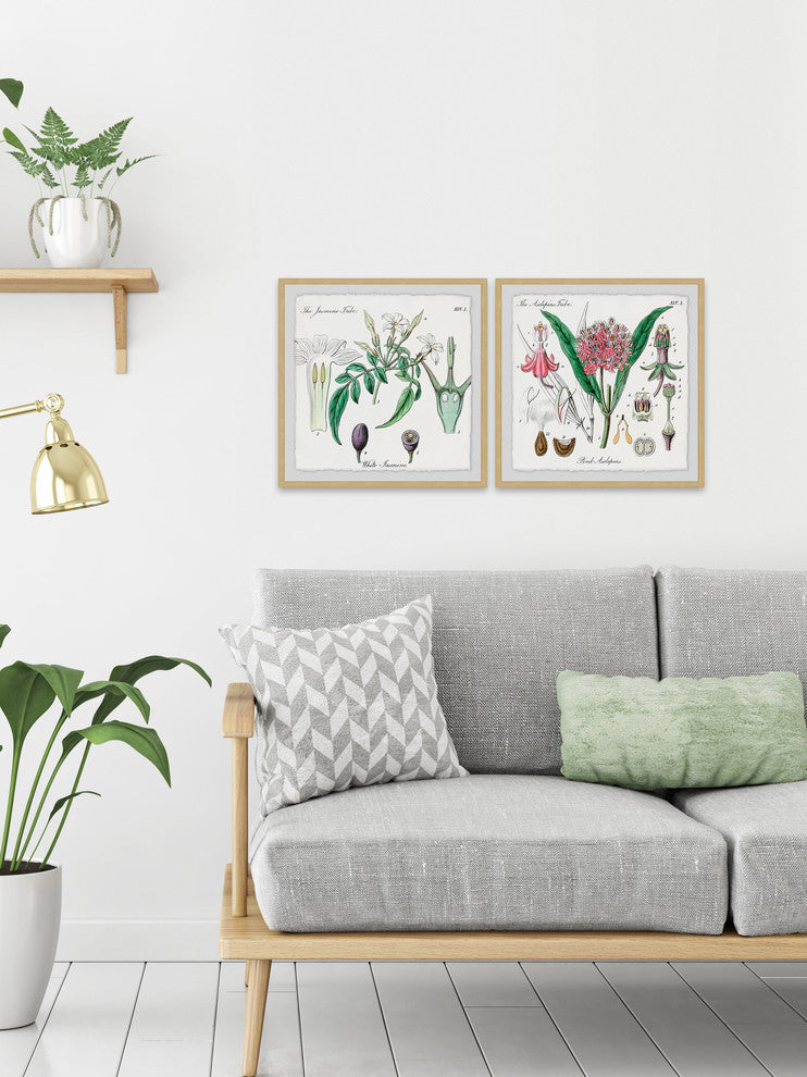 "Crinum in My Garden Diptych" Framed Prints, 12"x12", 2-Piece Set
