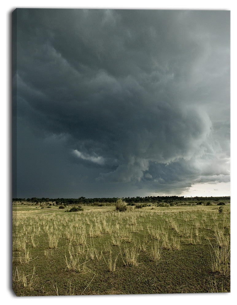 Rainy Cloud over Green Pasture, Oversized Landscape Canvas Art, 12"x20"