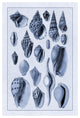 "Shells: Trachelipoda #6 (Blue)" Digital Paper Print by G.B. Sowerby, 42"x62"