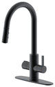 HotMaster 4 in 1 Instant Hot Kitchen Faucet, Matte Black