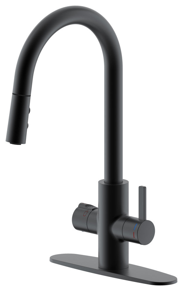 HotMaster 4 in 1 Instant Hot Kitchen Faucet, Matte Black