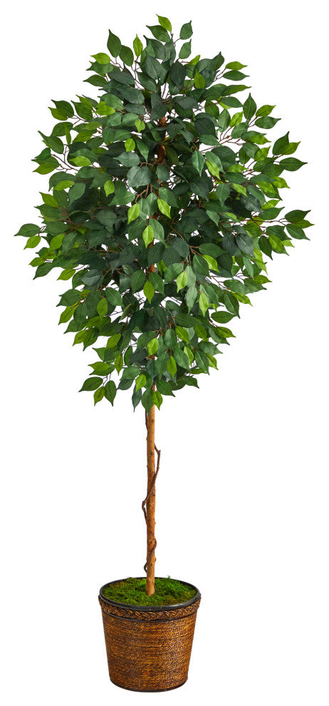 6.5' Ficus Artificial tree, Wicker Planter