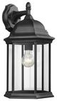 Generation Lighting Lighting Large 1-Light Downlight Outdoor Lantern, Black