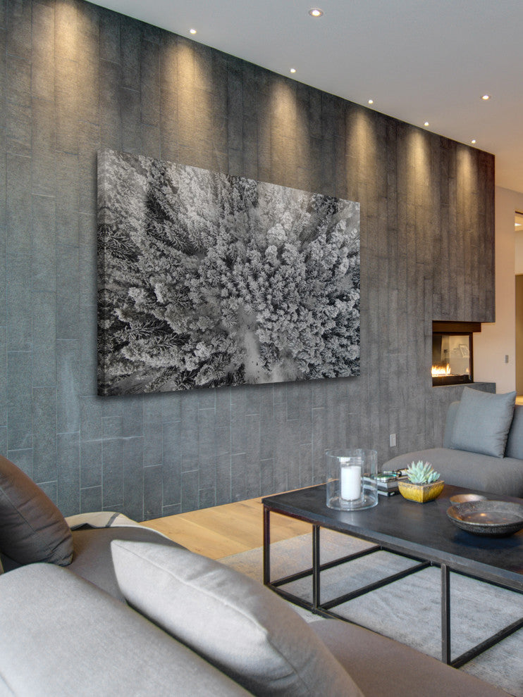 "Frozen Friends" Print on Canvas by Karolis Janulis