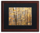 Jason Shaffer ''Autumn Treeline 2'', Wood Frame, Black Mat, 20x16