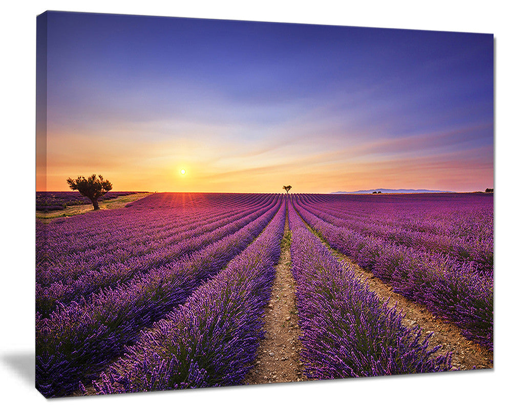 "Lavender Field in Provence France" Landscape Wall Art Print, 20"x12"