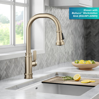 Sellette Pull-Down Kitchen Faucet, Spot Free Antique Champagne Bronze