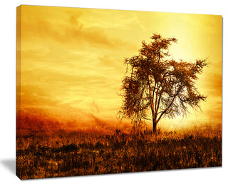 "African Tree Silhouette" Landscape Canvas Photo Print, 20"x12"