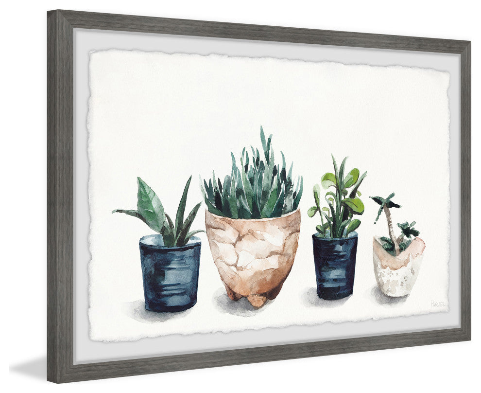 "Multi Colored Planters" Framed Painting Print