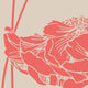 Peony Peel and Stick Vinyl Wallpaper, Dark Salmon, 24"w X 108"h