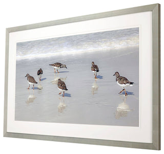 Sandpiper Reflections Artwork