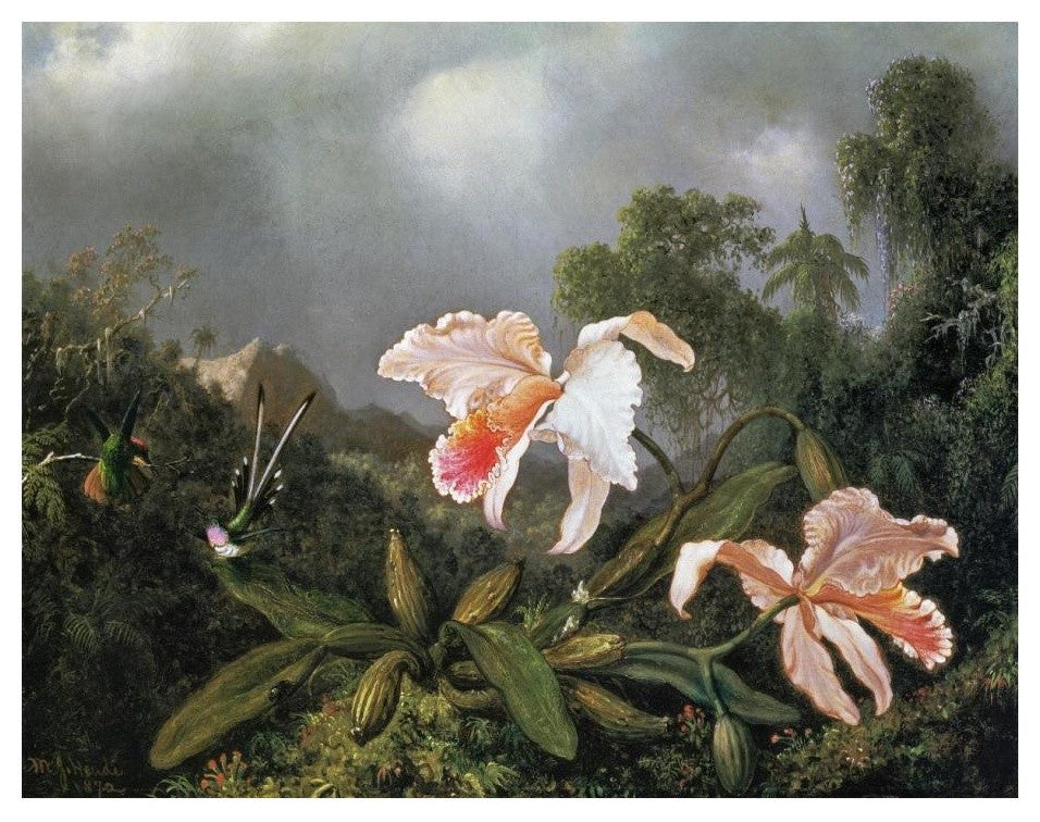 "Jungle Orchids And Hummingbirds 1872" Print by Martin Johnson Heade, 24"x19"