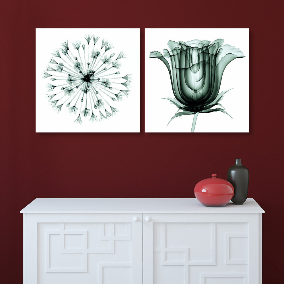 African Bluebell and Rose Veil, Flower Wall Art Tempered Glass Panel Artwork