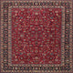 Ahgly Company Indoor Square Traditional Area Rugs, 8' Square