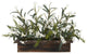 30" White Phlox Flowers In Rectangle Wooden Planter