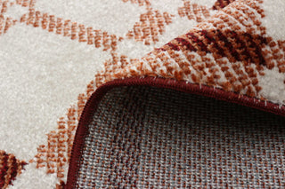 Aqua Roma Area Rug, Copper, 2'6"x8'