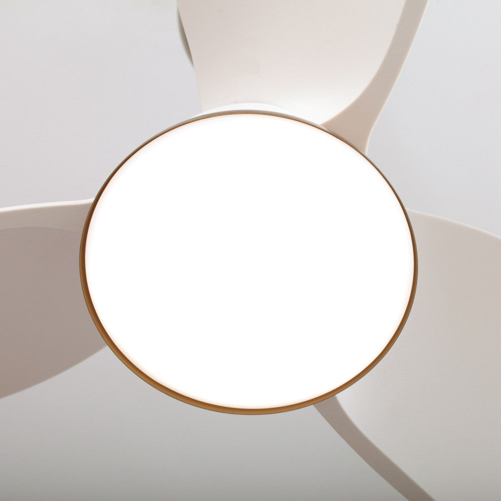 28 in. Modern Integrated LED Indoor Ceiling Fan with Remote Control and DC Motor