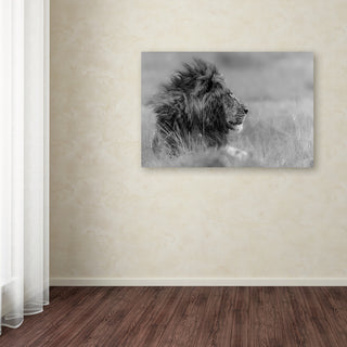 Massimo Mei 'The King Is Alone' Canvas Art, 22x32