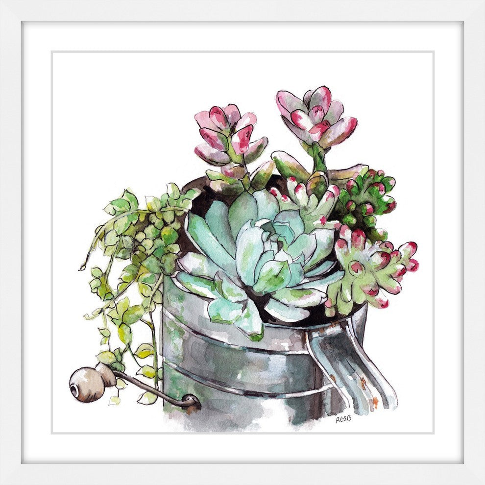 "Succulents" Framed Print by Rachel Byler